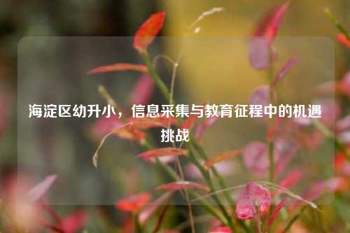 海淀区幼升小,信息采集与教育征程中的机遇挑战