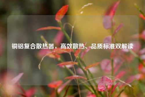 铜铝复合散热器,高效散热、品质标准双解读
