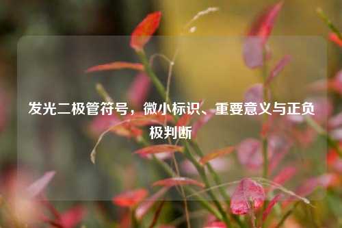 发光二极管符号,微小标识、重要意义与正负极判断