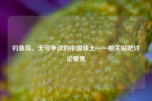 钓鱼岛，无可争议的中国领土——相关贴吧讨论聚焦