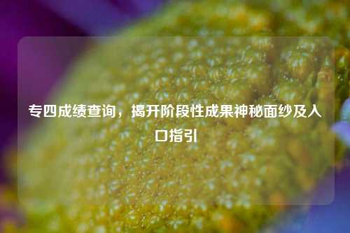 专四成绩查询,揭开阶段性成果神秘面纱及入口指引