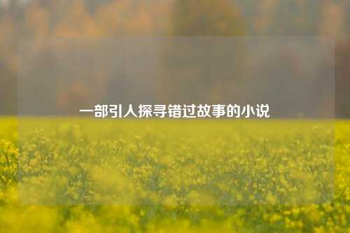 一部引人探寻错过故事的小说