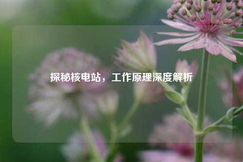 探秘核电站,工作原理深度解析