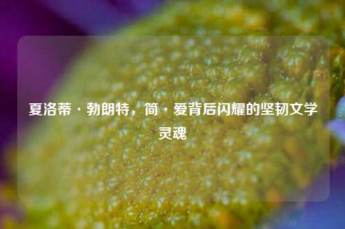 夏洛蒂·勃朗特，简·爱背后闪耀的坚韧文学灵魂