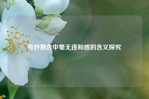 奇妙融合中毫无违和感的含义探究