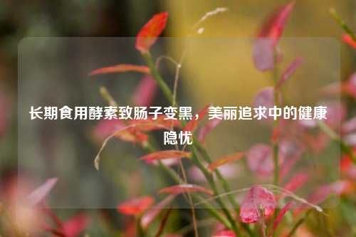长期食用酵素致肠子变黑,美丽追求中的健康隐忧