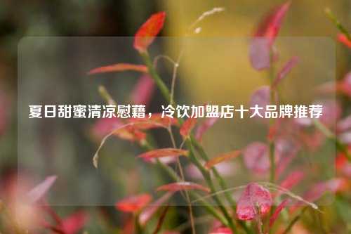 夏日甜蜜清凉慰藉，冷饮加盟店十大品牌推荐