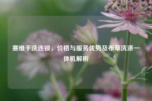 赛维干洗连锁，价格与服务优势及布草洗涤一体机解析