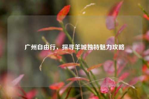 广州自由行,探寻羊城独特魅力攻略