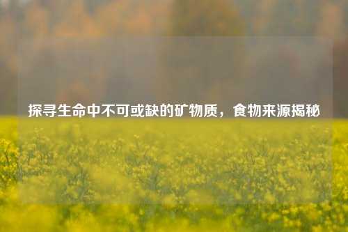 探寻生命中不可或缺的矿物质,食物来源揭秘