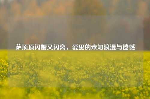 萨顶顶闪婚又闪离,爱里的未知浪漫与遗憾