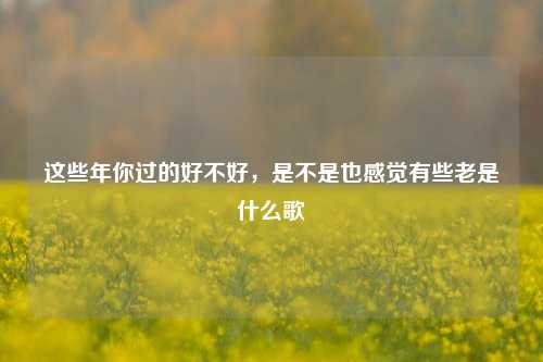 这些年你过的好不好，是不是也感觉有些老是什么歌