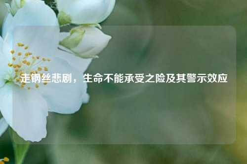 走钢丝悲剧，生命不能承受之险及其警示效应