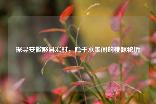 探寻安徽黟县宏村，隐于水墨间的桃源秘境