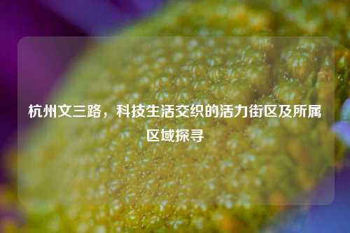 杭州文三路,科技生活交织的活力街区及所属区域探寻
