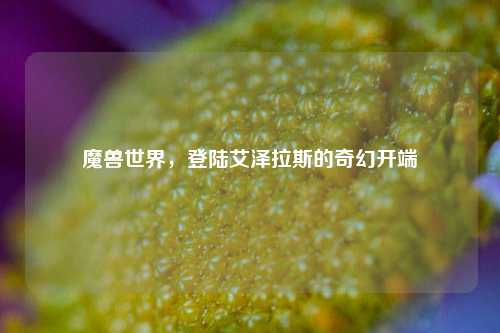 魔兽世界，登陆艾泽拉斯的奇幻开端