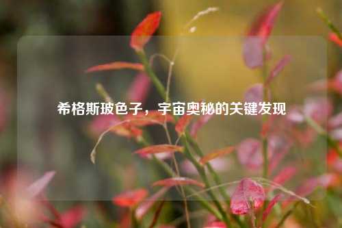 希格斯玻色子，宇宙奥秘的关键发现