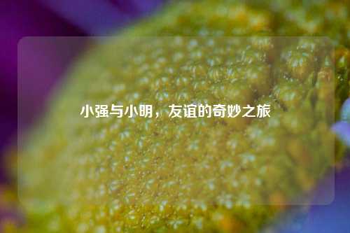 小强与小明，友谊的奇妙之旅