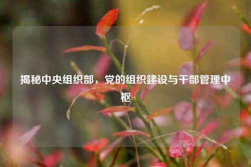 揭秘中央组织部，党的组织建设与干部管理中枢