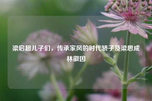 梁启超儿子们,传承家风的时代骄子及梁思成林徽因