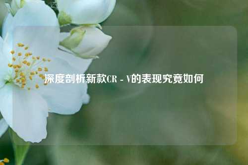 深度剖析新款CR - V的表现究竟如何