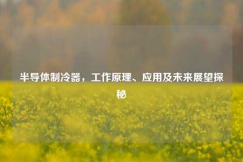 半导体制冷器,工作原理、应用及未来展望探秘