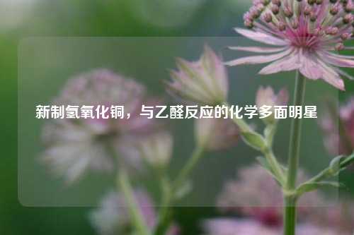 新制氢氧化铜,与乙醛反应的化学多面明星