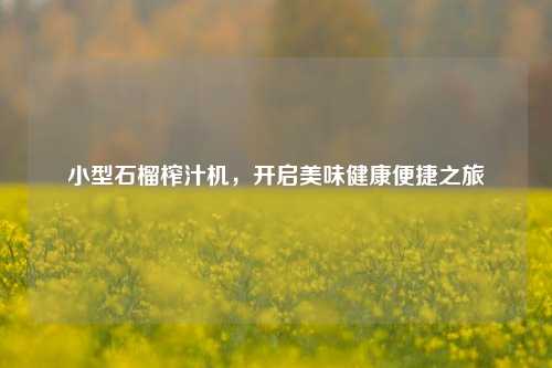 小型石榴榨汁机,开启美味健康便捷之旅