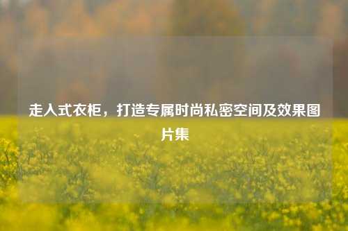 走入式衣柜,打造专属时尚私密空间及效果图片集