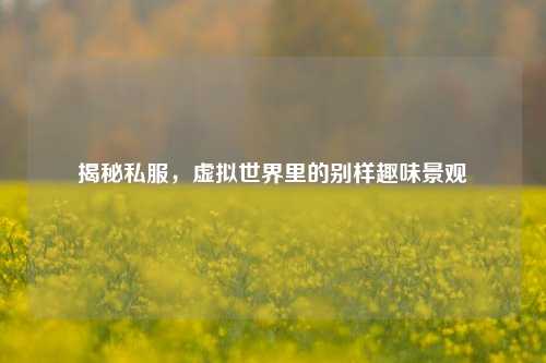 揭秘私服,虚拟世界里的别样趣味景观