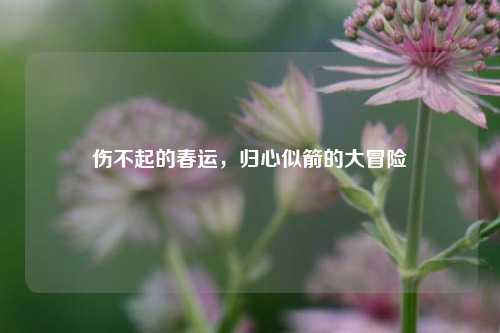 伤不起的春运,归心似箭的大冒险