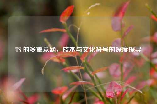 TS 的多重意涵,技术与文化符号的深度探寻