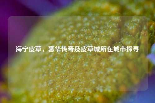 海宁皮草,奢华传奇及皮草城所在城市探寻