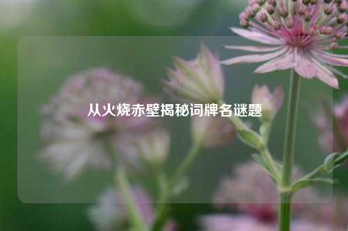 从火烧赤壁揭秘词牌名谜题
