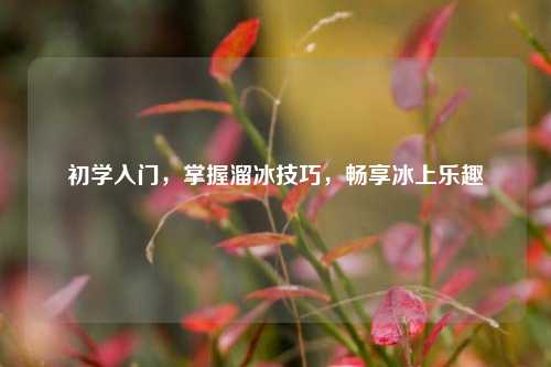 初学入门,掌握溜冰技巧,畅享冰上乐趣