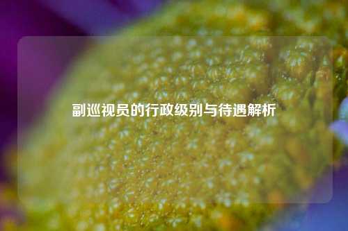 副巡视员的行政级别与待遇解析