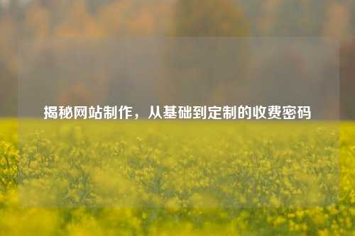 揭秘网站制作,从基础到定制的收费密码